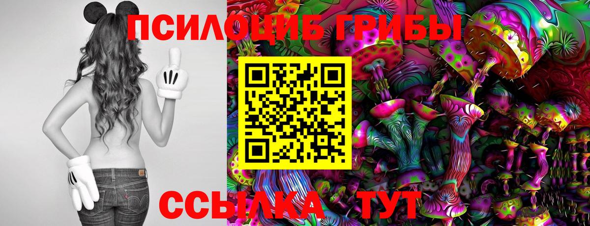 Галлюциногенные грибы Psilocybine cubensis  Псилоцибиновые грибы Magic Shrooms  Изобильный  Вход с VPN 