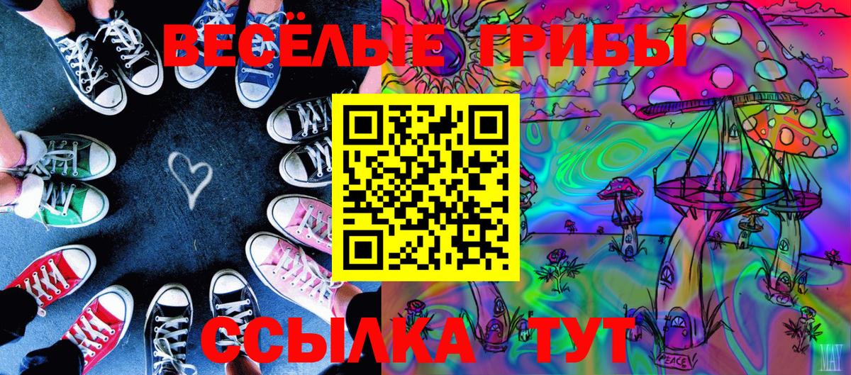 Галлюциногенные грибы Cubensis Изобильный